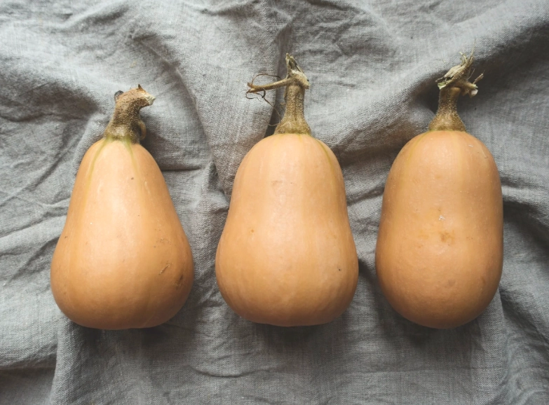 butternut squash ripe signs