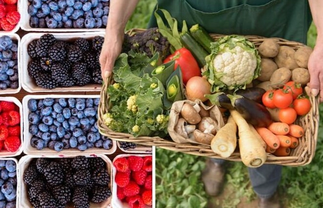 seasonal produce guide