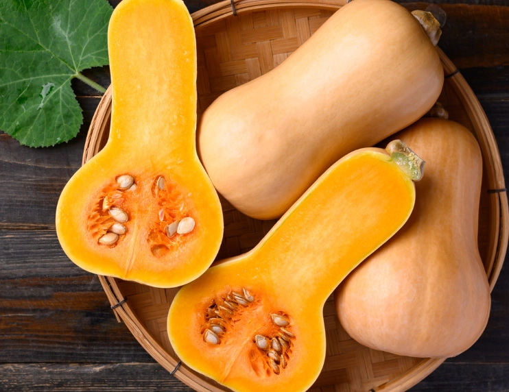 when is butternut squash ripe when is butternut squash ripe