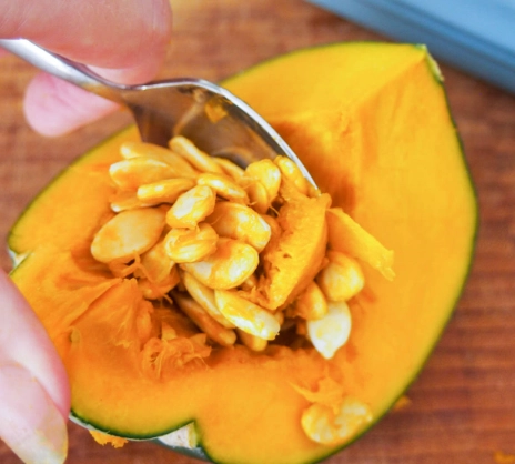 roast buttercup squash seeds roast buttercup squash seeds