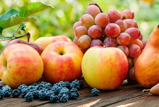 what fruit is in season in june what fruit is in season in june