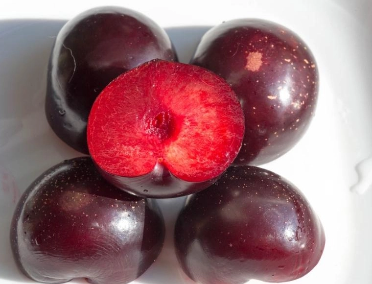 red flesh plum varieties red flesh plum varieties