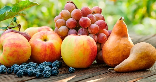 june fruit list june fruit list