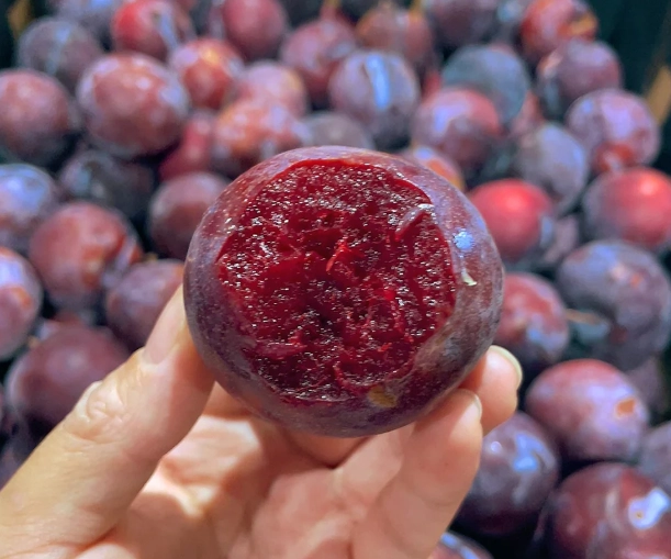 red flesh plum varieties red flesh plum varieties