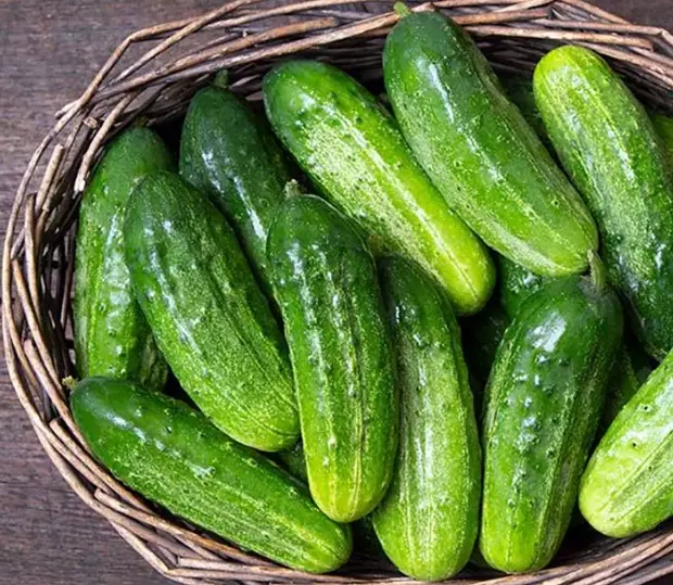 what cucumbers are best for pickling