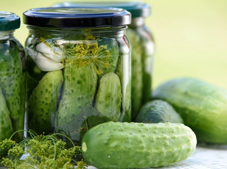 pickle cucumber pickle cucumber