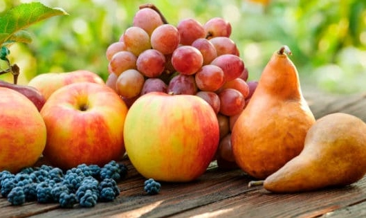 autumn fruits list autumn fruits list
