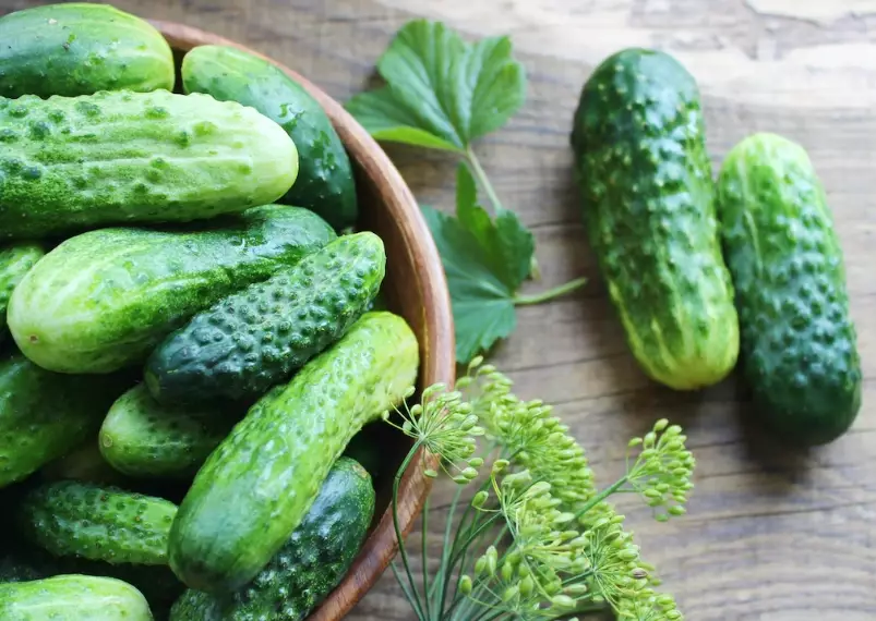 types of cucumbers for pickling types of cucumbers for pickling