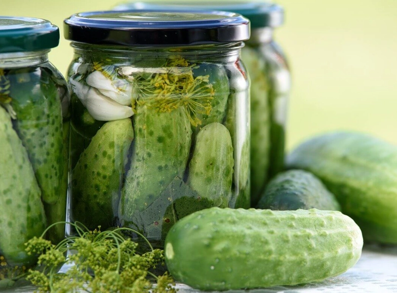 harvest pickling cucumbers harvest pickling cucumbers