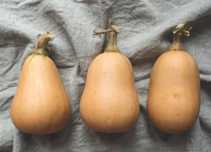ripe butternut squash signs ripe butternut squash signs