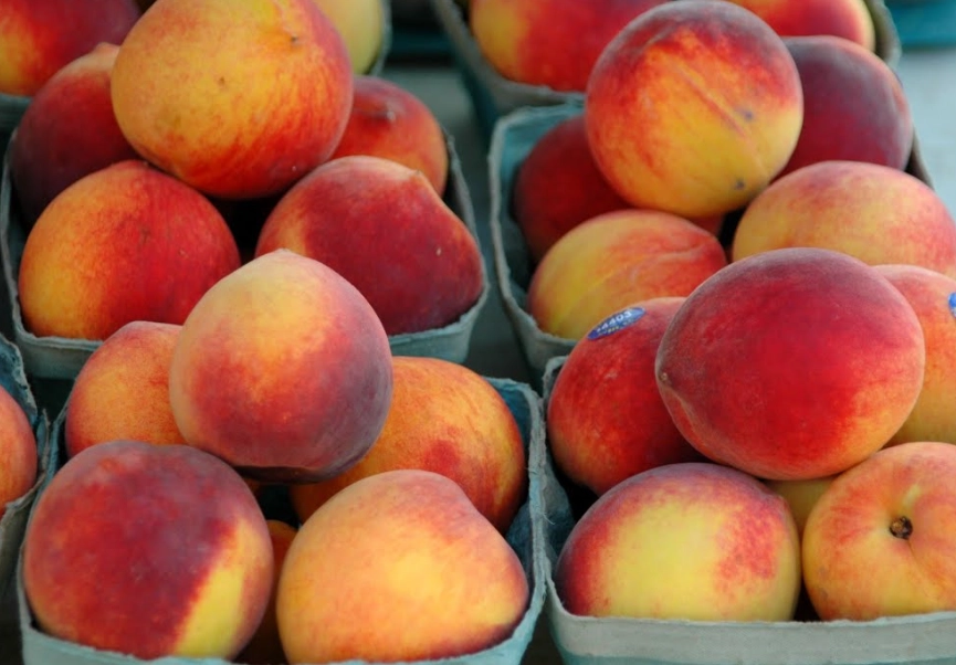 peach recipes peach recipes