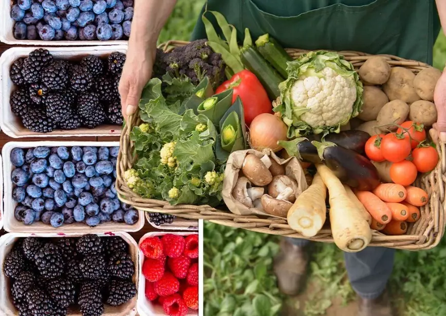 seasonal fruits chart