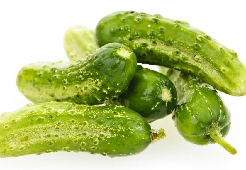 types of cucumbers for pickling types of cucumbers for pickling