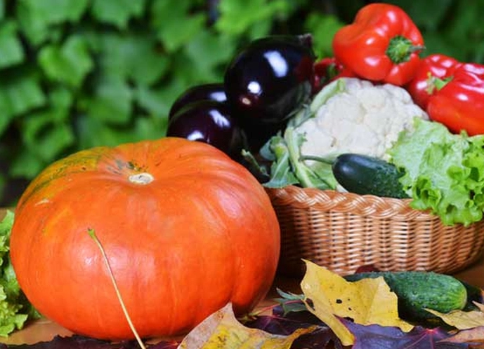 september harvest fruits september harvest fruits