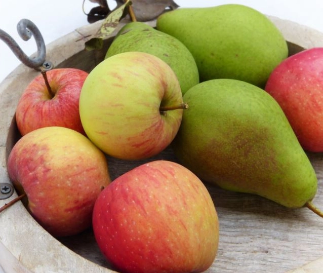 best september fruit