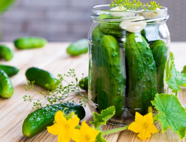 types of cucumbers for pickling types of cucumbers for pickling