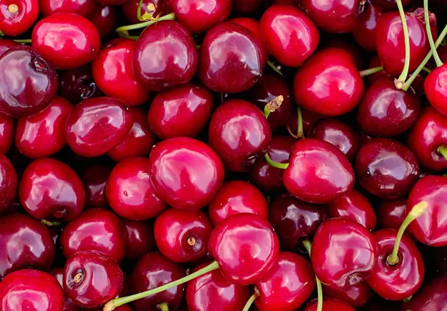 summer fruits list