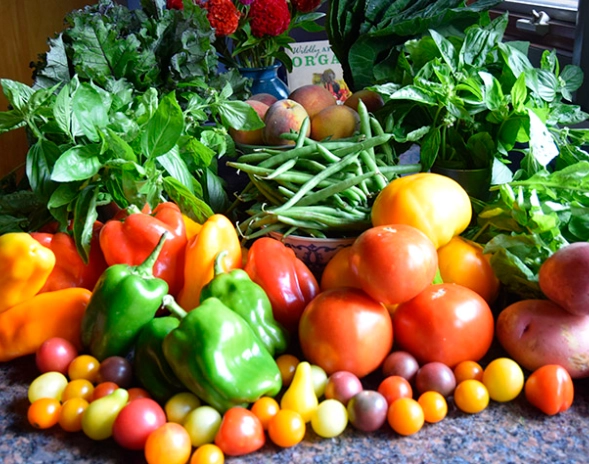how to pick ripe fruit august how to pick ripe fruit august