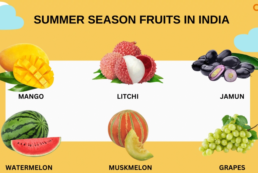 best august fruits best august fruits