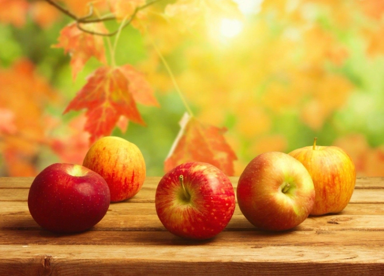 seasonal fruits september seasonal fruits september