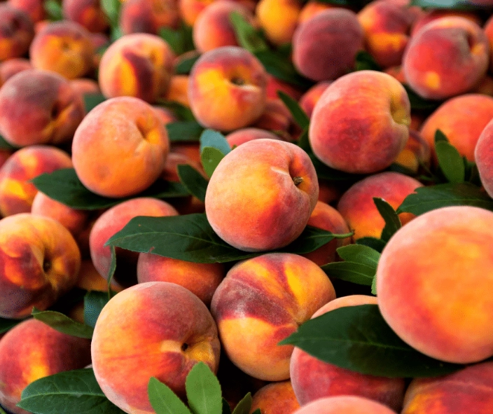 best august fruits best august fruits
