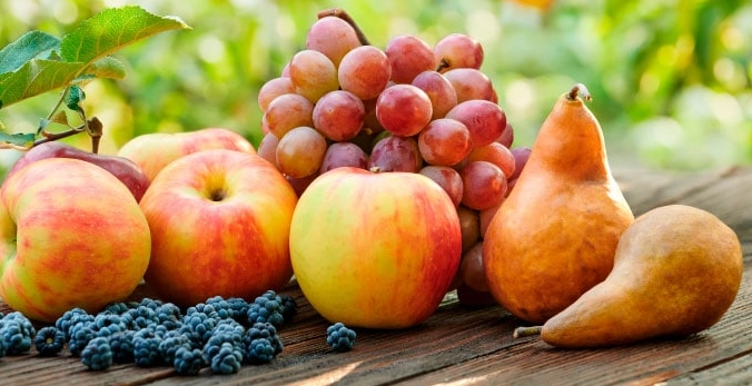 fruits in season march fruits in season march