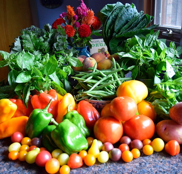 best fruits in august