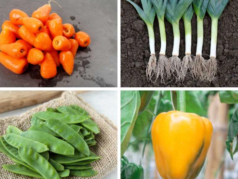 vegetables in season march