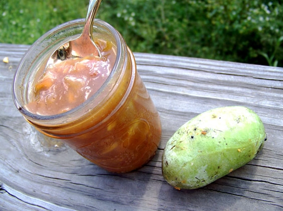pawpaw recipes pawpaw recipes