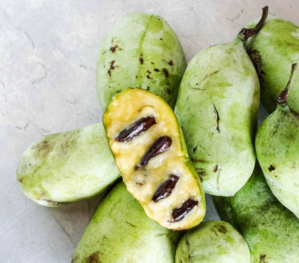 pawpaw dessert ideas pawpaw dessert ideas