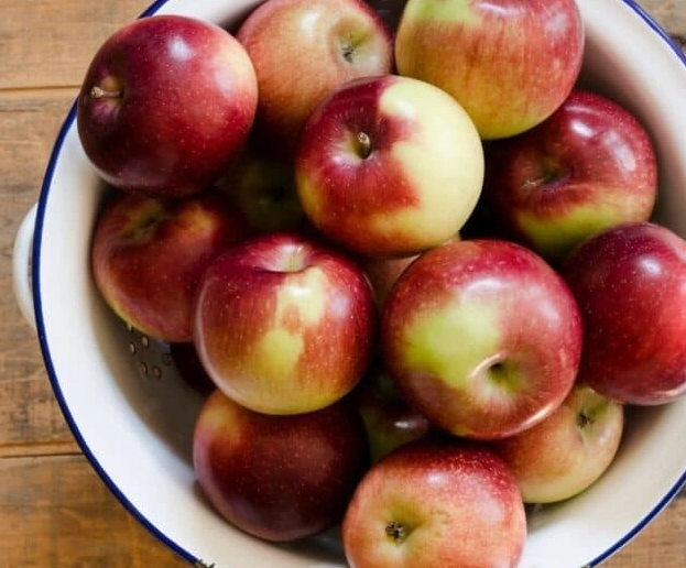 best apples for baking best apples for baking