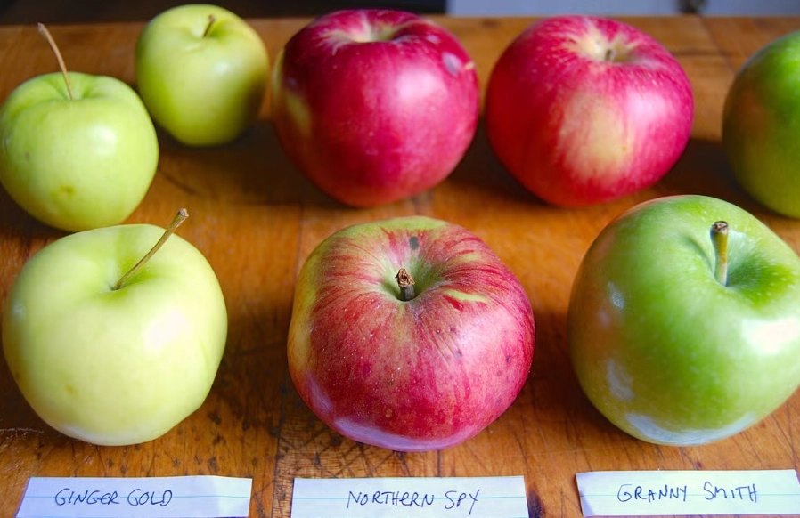 baking apples guide baking apples guide