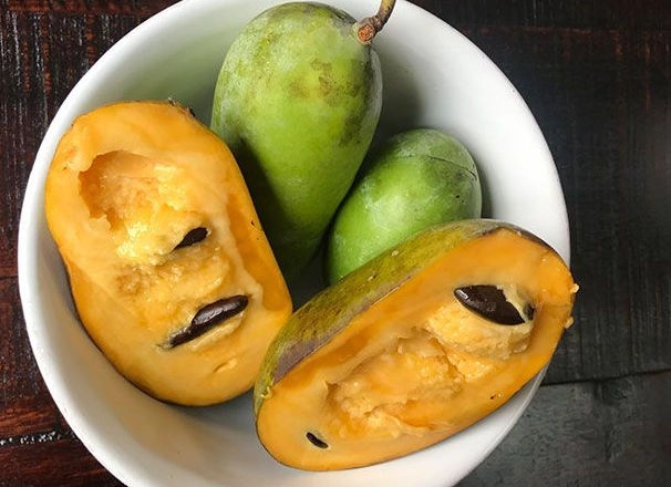 pawpaw dessert ideas pawpaw dessert ideas