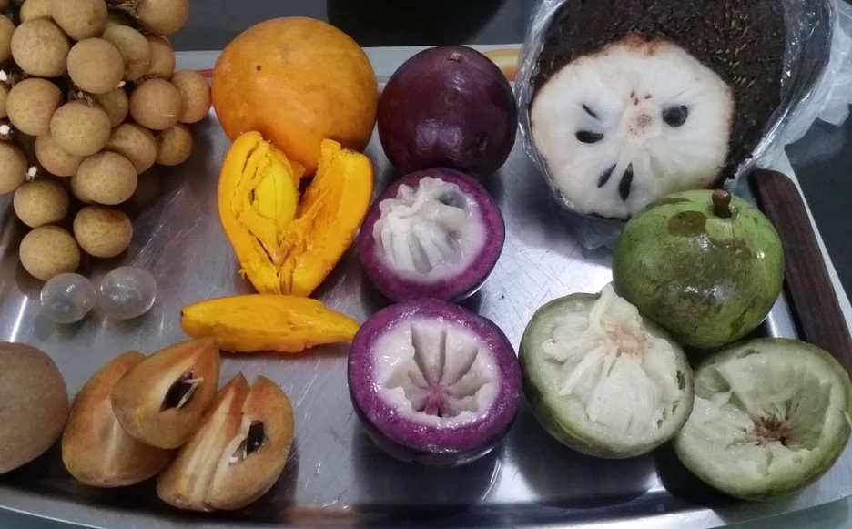 what fruit is in season in march what fruit is in season in march