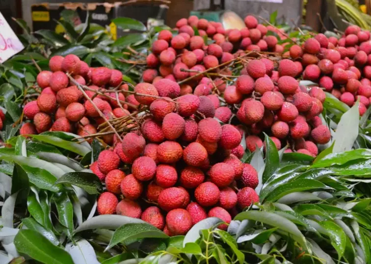 march seasonal fruits march seasonal fruits