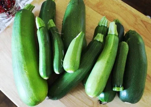 giant zucchini recipes giant zucchini recipes