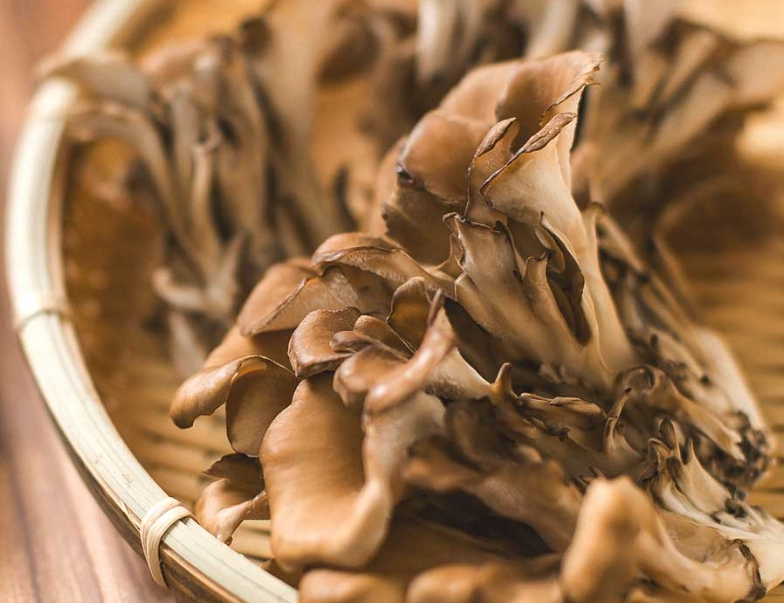 maitake mushrooms