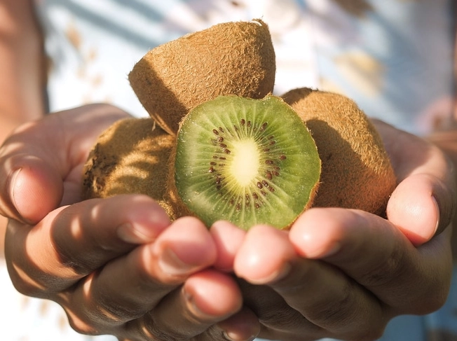 kiwi season kiwi season