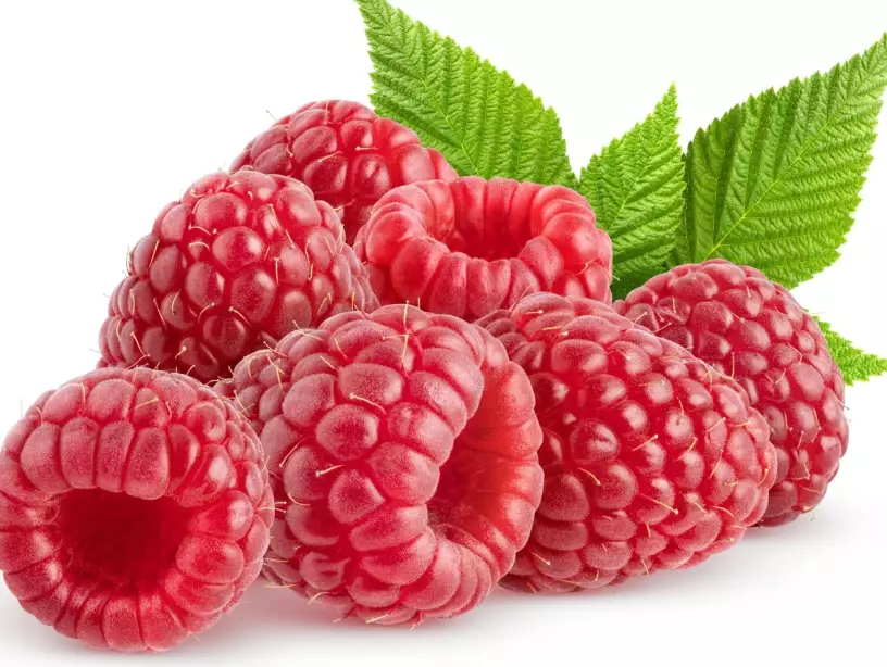 raspberry seed oil benefits raspberry seed oil benefits