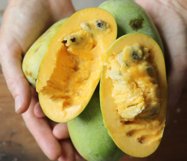 savory paw paw recipes