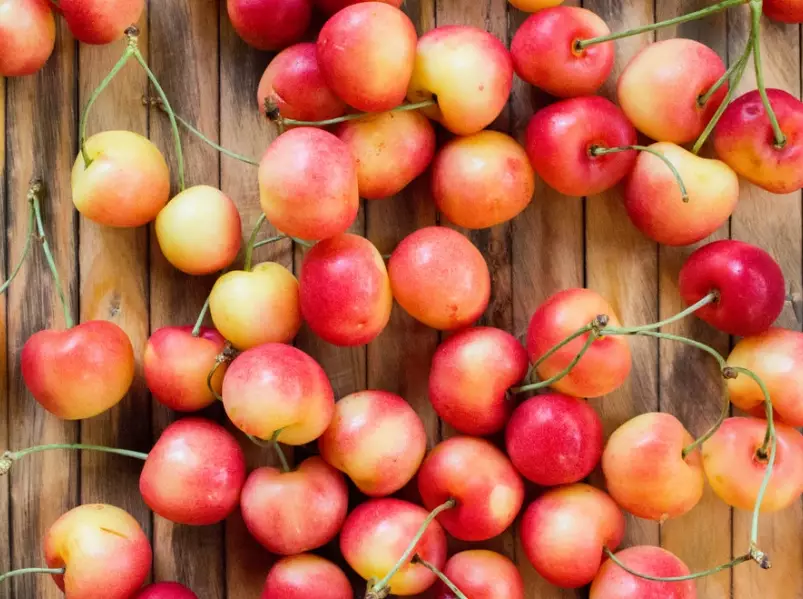 cherry season guide cherry season guide