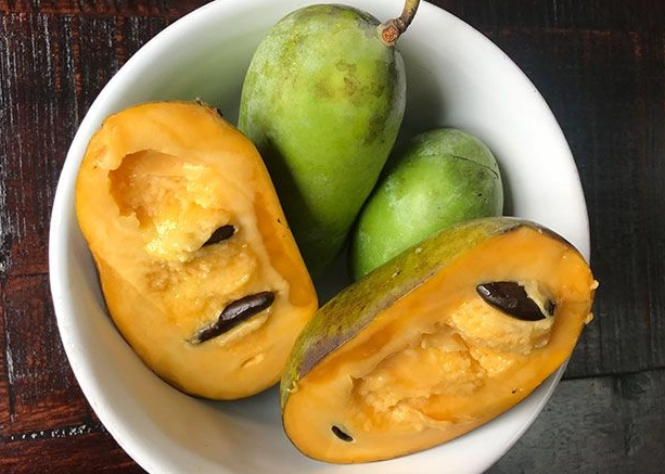 easy paw paw cookie recipe easy paw paw cookie recipe