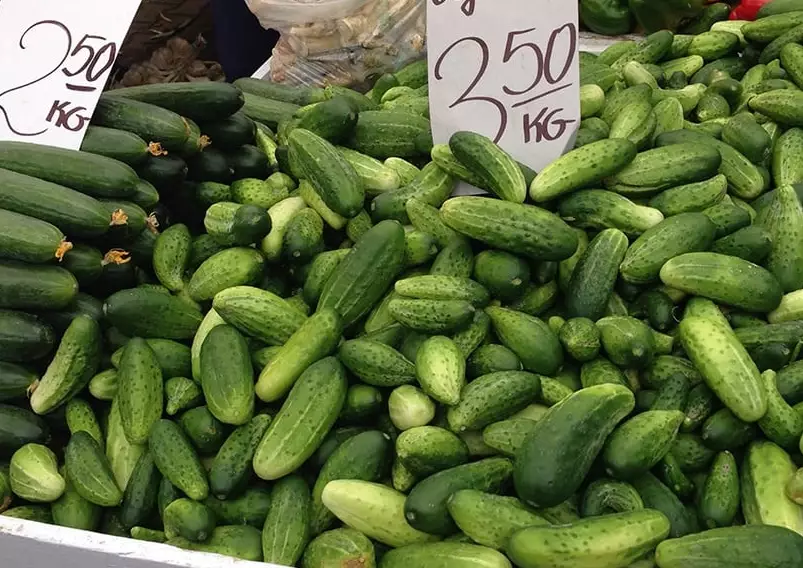 regular cucumbers regular cucumbers