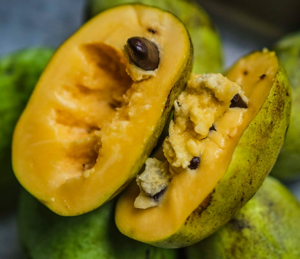 paw paw fruit cookies paw paw fruit cookies