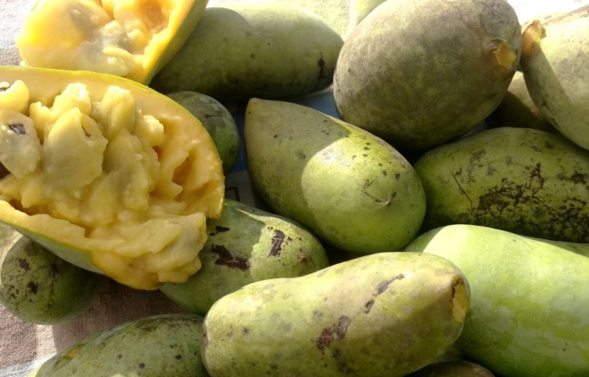 how to cook paw paw