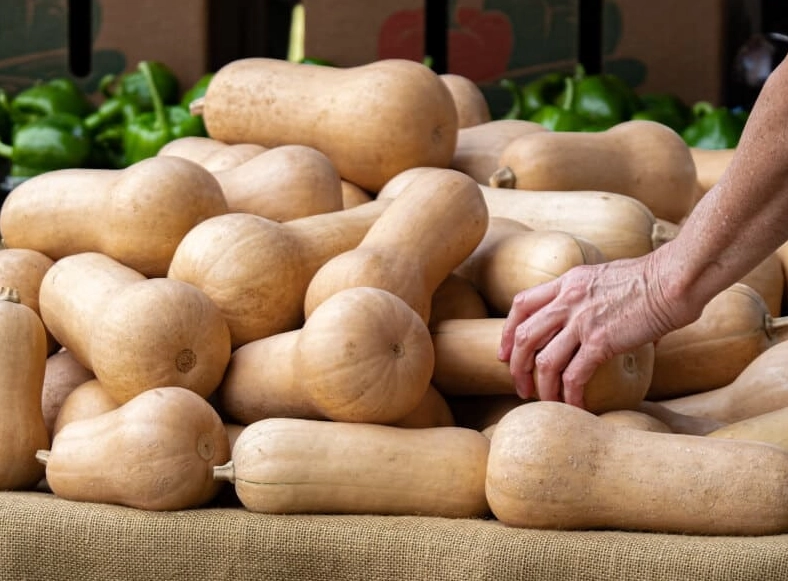 ripe butternut squash recipes