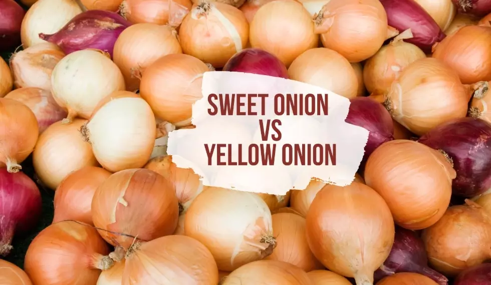 sweet onion vs yellow onion sweet onion vs yellow onion