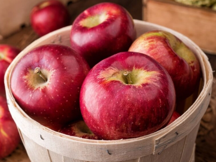 apple pie filling recipe apple pie filling recipe