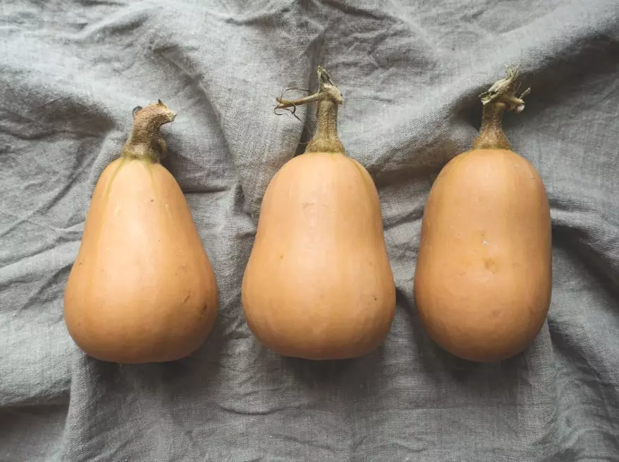 ripe butternut squash recipes