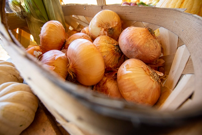 sweet onion vs regular onion